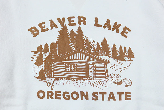 BARNS OUTFITTERS(バーンズアウトフィッターズ) 両VガゼットスウェットシャツBEAVER LAKE COZUN 日本製 BR-24393
