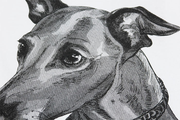 JOSHUATREES ジョシュアツリー 犬プリントTシャツ イタリアングレイハウンド Italian Greyhound メンズ 半袖 JSTR-001