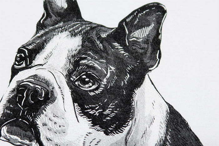 JOSHUATREES ジョシュアツリー 犬プリントTシャツ ボストンテリア 愛犬家や古着,ヴィンテージ好きに メンズ 半袖 JSTR-002