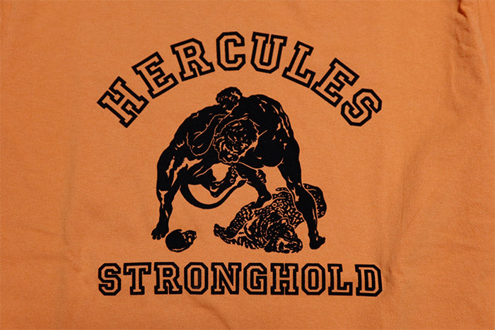 Pherrow's フェローズ Tシャツ フロッキープリント HERCULES ヘラクレス 半袖 26S-PT12