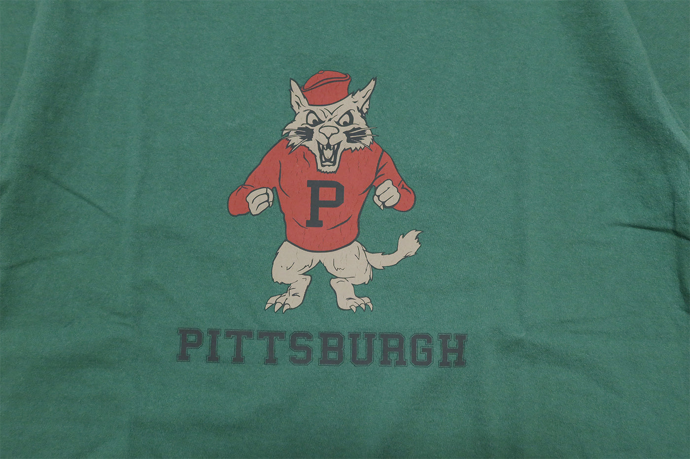 Pherrow's T-shirt PITTSBURGH Men's Short Sleeve Green Wolf 24S-PT6