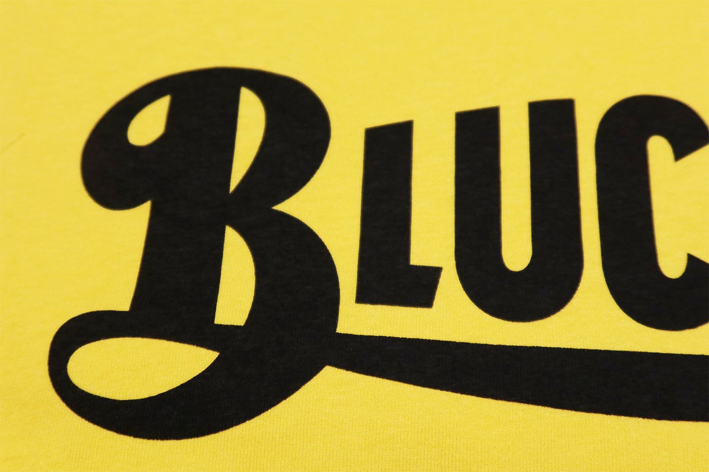 BLUCO OLD LOGO T-shirt with logo print, short sleeves, men's, 143-22-002