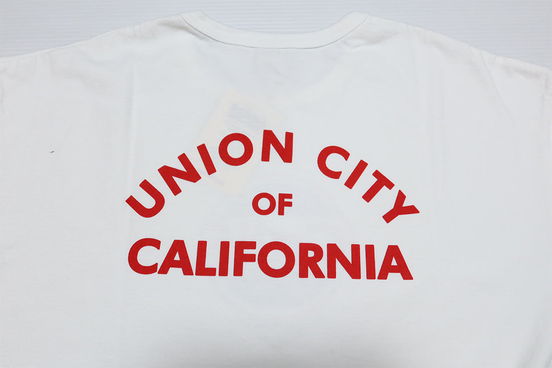 BARNS OUTFITTERS "CALIF" Pigment Dye T-Shirt, Round Body, Made in Japan, BR-24302