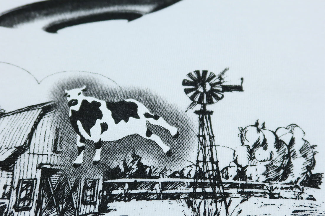 Pherrow's フェローズ ラグラン長袖Tシャツ CATTLE MUTILATION 24W-PRLT3 日本製